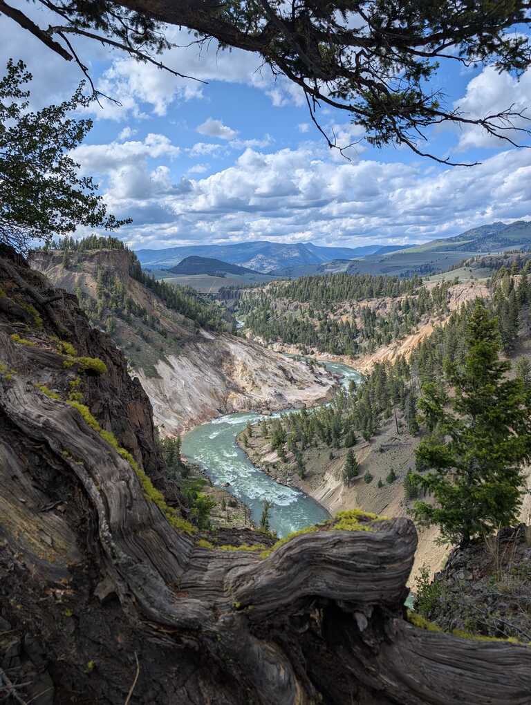 Yellowstone River - Yellowstone Grand Canyon